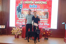 Vụ chó H'Mông Cộc 450 triệu đồng: Giá cao bất thường?