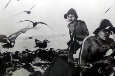 Hình ảnh lịch sử về những chiến công của Hải quân Việt Nam