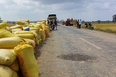 Sóc Trăng rà soát, xử lý việc sử dụng đất không đúng mục đích