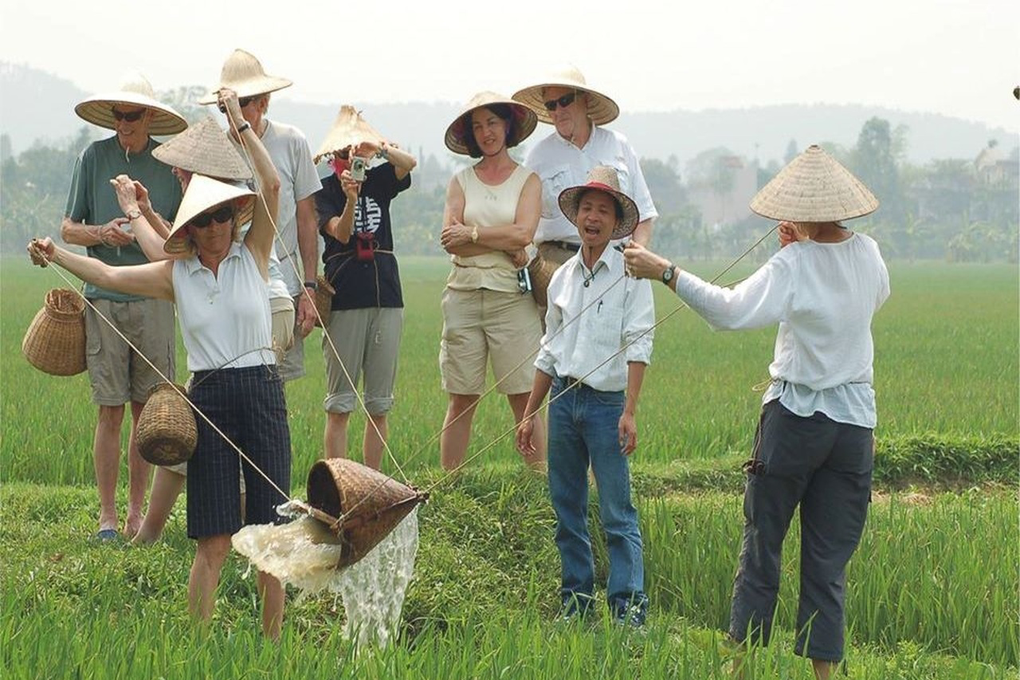 Khách Tây hối hả cào lúa giúp bà con Ninh Bình chạy mưa gây sốt - 3