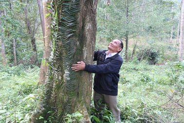 Người “canh rừng” dưới núi Hoành Sơn