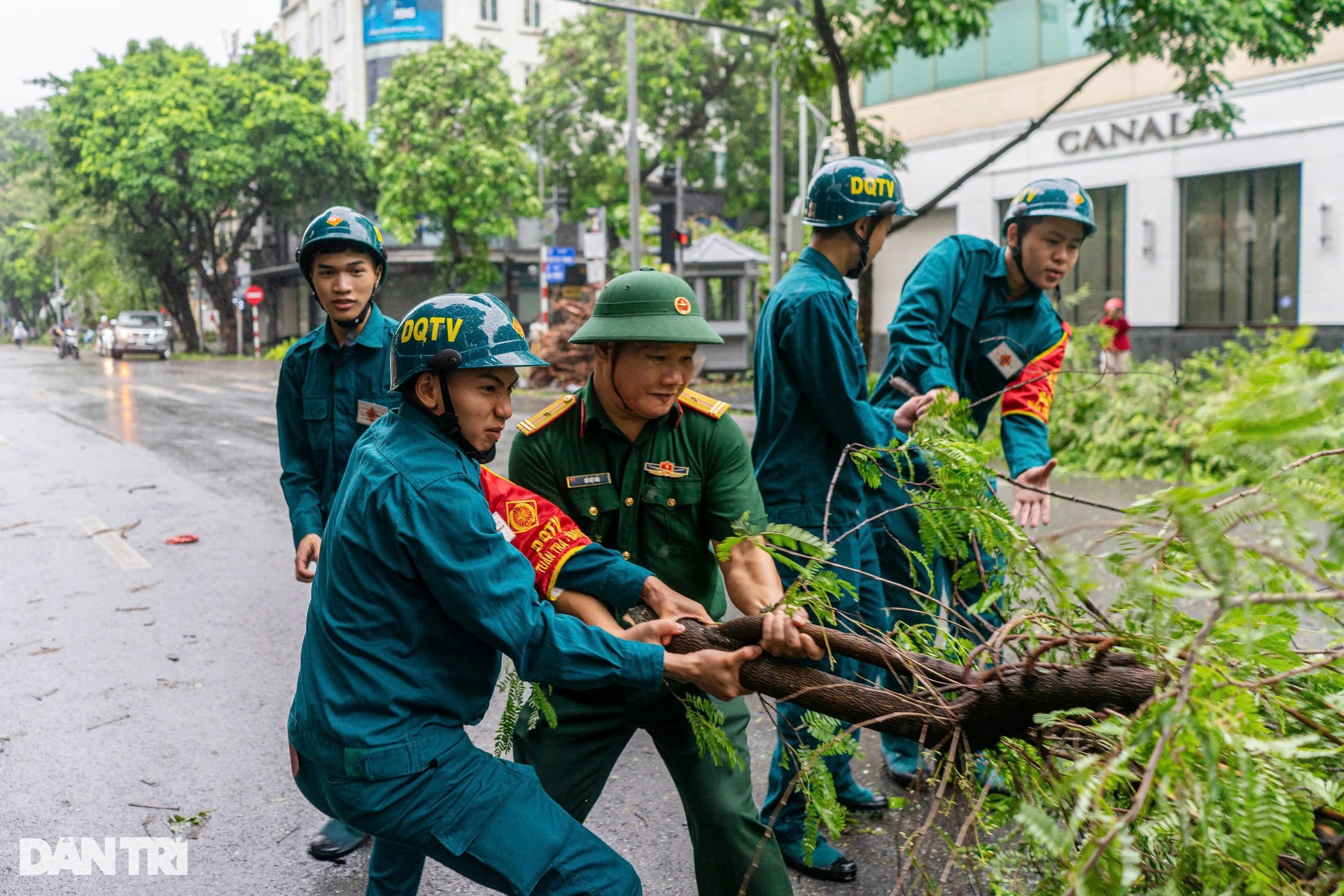 Hà Nội khẩn trương thu dọn cây đổ, khắc phục hậu quả sau bão - 7