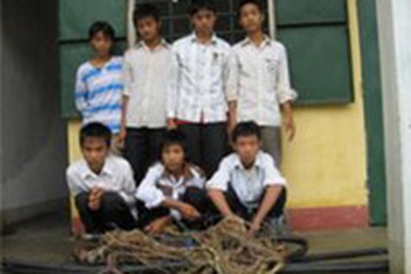 Bắt nhóm học sinh chuyên cắt trộm cáp viễn thông