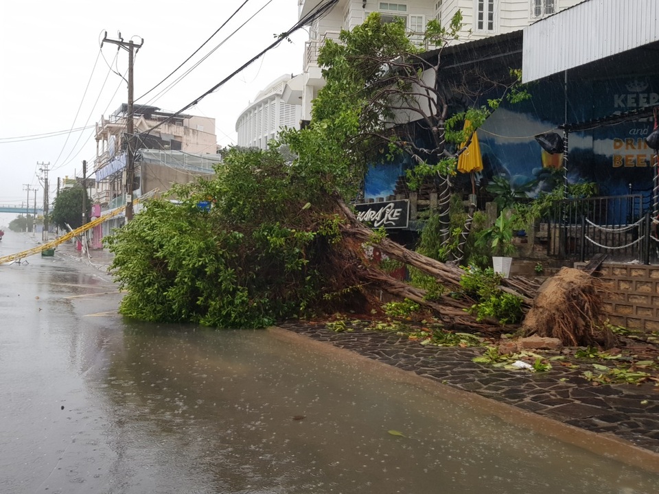 Đường phố Nha Trang tan tác trong bão số 12 - 6 Đường phố Nha Trang tan tác trong bão số 12 - 6