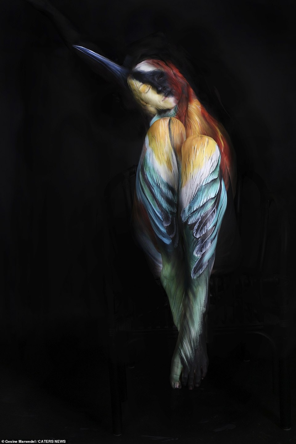 Bà bầu hóa thành bồ nông và gấu mèo qua nghệ thuật body-painting - 2 Bà bầu hóa thành bồ nông và gấu mèo qua nghệ thuật body-painting - 2