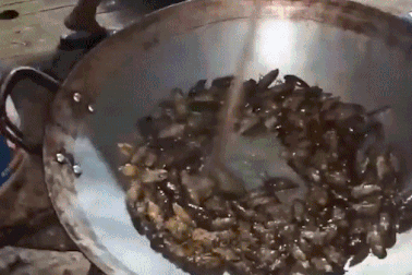 Loạt món ăn nổi tiếng Việt Nam nhưng "dọa" du khách nước ngoài "khóc thét"