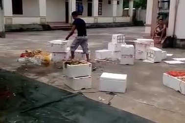 Tiêu hủy số lượng 200kg cam lá nhập lậu vào vựa cam Vinh, tỉnh Nghệ An