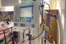 Uống rượu ngâm loại củ này, hai người đàn ông vào thẳng cấp cứu