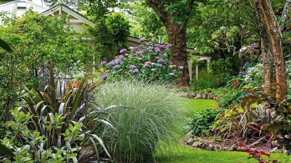 Biến chỗ nuôi gà cũ nát thành thiên đường xanh mát hút các loài chim - 4