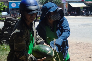 Quảng Bình:  Căng mình giữa nắng nóng “giải cứu” dưa hấu cho nông dân Quảng Ngãi