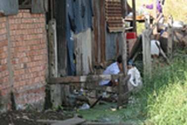 Muỗi nhiều do nước tù đọng, môi trường ô nhiễm