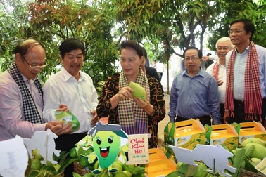 Chủ tịch Quốc hội Nguyễn Thị Kim Ngân đánh giá cao mô hình Hội quán ở Đồng Tháp