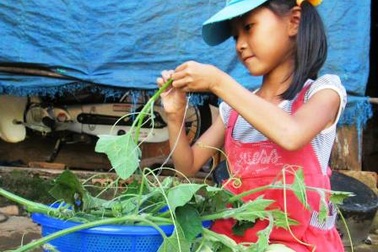 Tiếng "thở dài" của trẻ mùa tựu trường