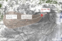 Ứng phó bão số 3, các bệnh viện có phương án sơ tán người bệnh