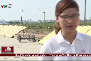 Truy tìm nguồn gốc phẩm màu nhuộm màu cho miến