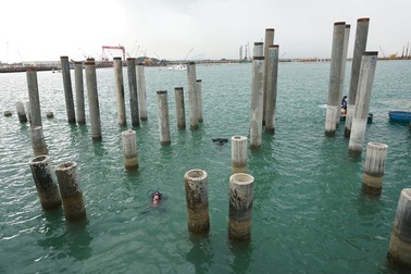 Khai quật tàu cổ ở Dung Quất thu được hầu hết là mảnh vỡ?