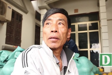 Đại gia đi ô tô mua nghìn quả bưởi về ăn Tết