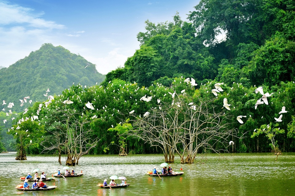 Vẻ đẹp lung linh huyền ảo nổi bật của di sản thế giới Tràng An - 22 Vẻ đẹp lung linh huyền ảo nổi bật của di sản thế giới Tràng An - 22