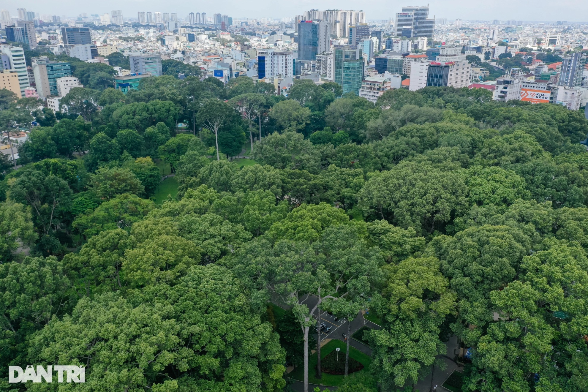 Công viên Tao Đàn nơi xảy ra vụ tai nạn làm 2 người chết có nhiều cổ thụ - 7