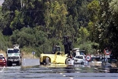 Algeria: Đánh bom tự sát, 10 người thiệt mạng