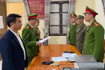 Khởi tố trưởng thôn tự ý đấu thầu, bán đất công