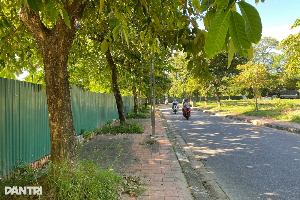 Một phần công viên Trịnh Công Sơn bị quây kín bằng tôn, chờ chỉnh trang - 2 Một phần công viên Trịnh Công Sơn bị quây kín bằng tôn, chờ chỉnh trang - 2