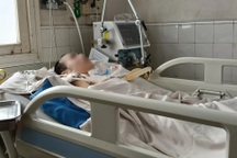 Hà Nội, TPHCM ghi nhận bệnh viêm não Nhật Bản, có thể lây qua muỗi đốt