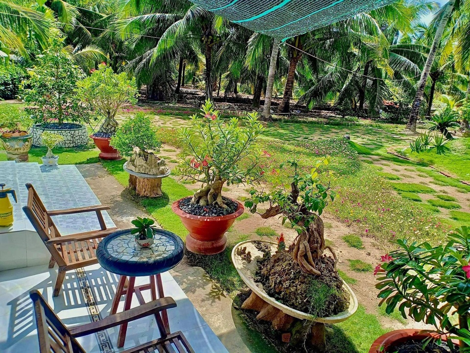Chàng trai Tiền Giang cải tạo đất trống thành vườn 200m2 chỉ 10 triệu đồng - 7 Chàng trai Tiền Giang cải tạo đất trống thành vườn 200m2 chỉ 10 triệu đồng - 7