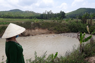 Muốn thả vịt ra đồng phải... đóng phí!