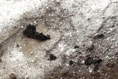 Nghệ An: Xe chở phân bò của doanh nghiệp rơi vãi trên tỉnh lộ, người dân khốn đốn