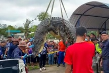 Phát hiện hài cốt nghi của bé gái Malaysia trong bụng cá sấu