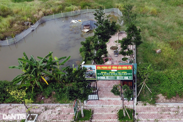 Dự án khu đô thị từng "sốt nóng" ở Hưng Yên thành nơi chăn trâu, thả vịt