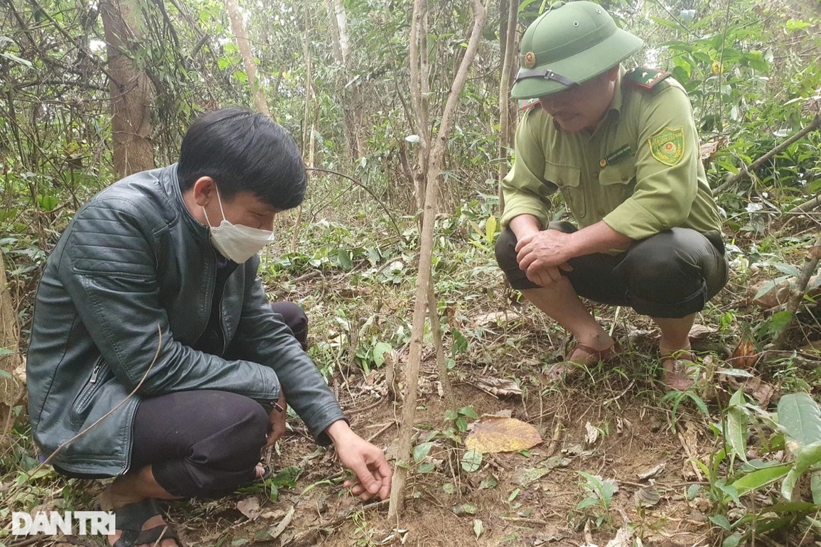 Thoát nghèo bằng thần dược cho quý ông - 2 Thoát nghèo bằng thần dược cho quý ông - 2