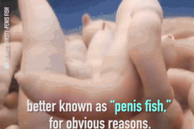 Những món ăn sống “kinh dị” nhất thế giới, Việt Nam cũng góp mặt