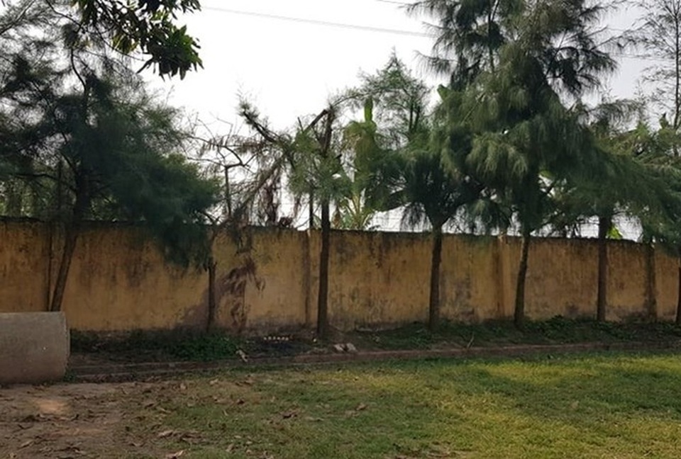 Nam sinh tỉa cây bị điện giật: trường học đâu phải nơi lao động công ích? - 1