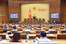 Trình Quốc hội xem xét bổ sung "nơi sinh" vào hộ chiếu mẫu mới