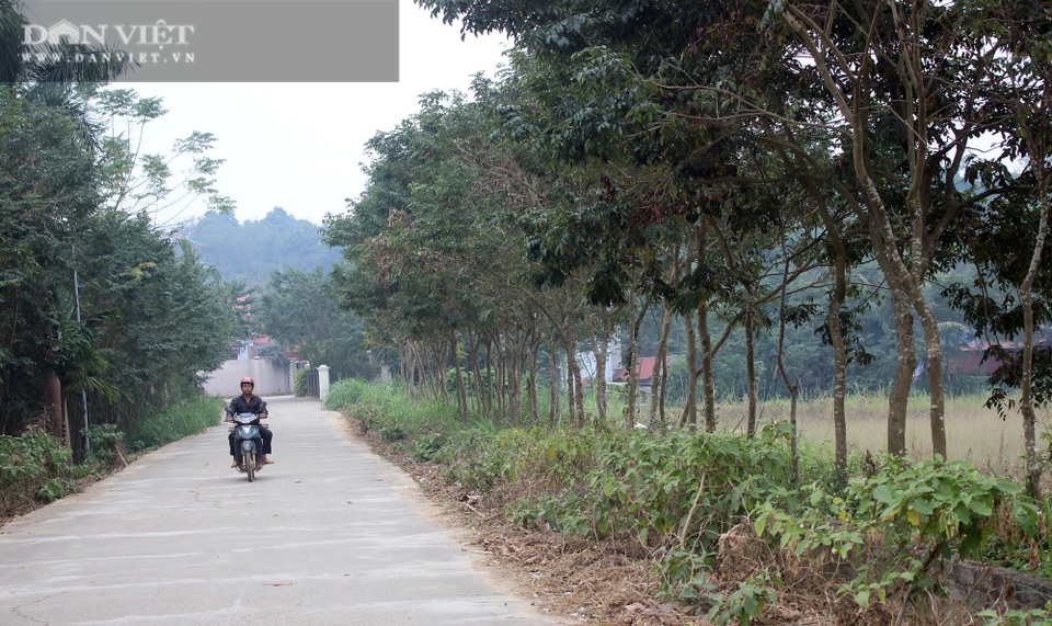 Vùng đất nông dân toàn chôn kho báu ngoài vườn, hễ ra ngõ là gặp tỷ phú - 1 Vùng đất nông dân toàn chôn kho báu ngoài vườn, hễ ra ngõ là gặp tỷ phú - 1
