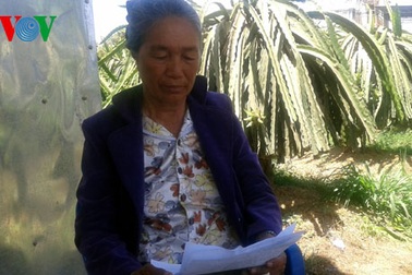 Giả thương lái “lừa đảo” chủ vườn thanh long