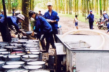 Vét sạch nguyên liệu thô để xuất khẩu