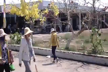 Video: Lễ hội vía Phật Bà Nam Hải.