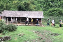 Chủ tịch tỉnh Hòa Bình chỉ đạo "nóng" vụ hộ dân bị nhiều người phá vườn cây