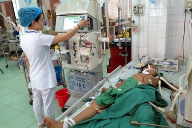  Ăn nấm độc, 5 người bị biến chứng nặng 