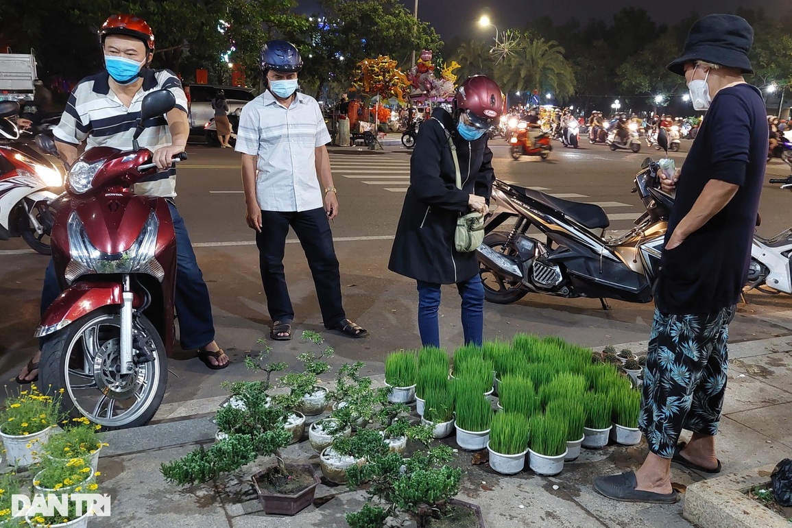 Chợ hoa đêm giao thừa, người mua vẫn giằng co từng đồng - 5 Chợ hoa đêm giao thừa, người mua vẫn giằng co từng đồng - 5