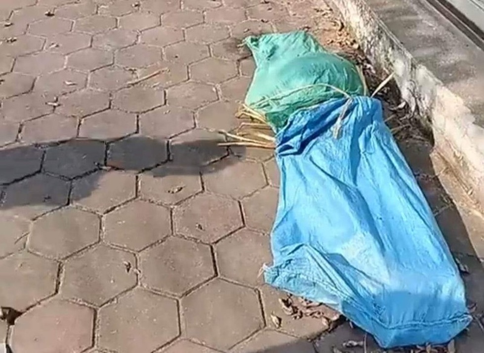 Thi thể cô gái lõa thể ở vỉa hè và loạt câu hỏi vạch trần tội ác phía sau - 1