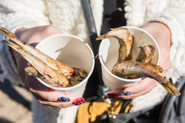 Lễ hội dành riêng cho loài cá "quốc dân" của đất nước Nhật Bản