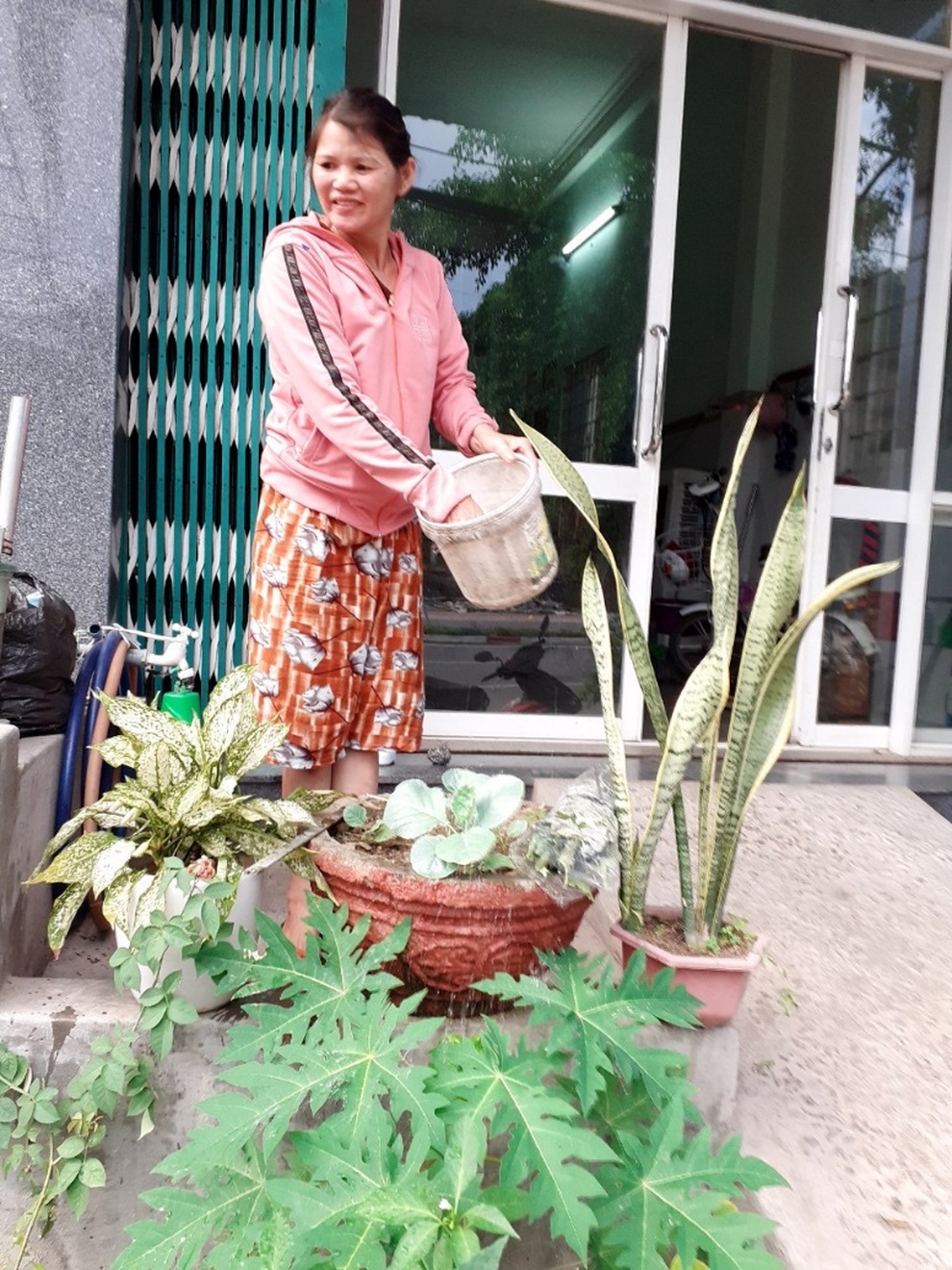 Hoa xương rồng trên cát - 1 Hoa xương rồng trên cát - 1