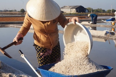 Cận cảnh "nghề gieo nước biển" đầu năm ở phương Nam