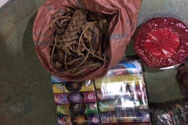 Bắt xe chở pháo nổ, gỗ, sản phẩm động vật… ngụy trang dưới dạng phế liệu