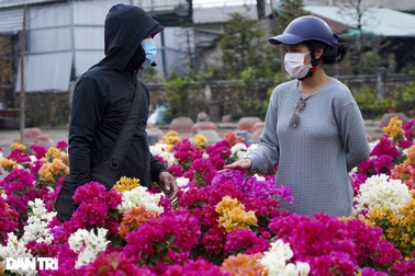 Thị trường hoa Tết TPHCM: Điểm vắng khách, nơi cháy hàng không kịp bán