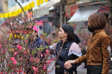 Bán hàng ngày Tết: Khách thử quần áo cả tiếng chưa mua; hoa tươi đắt hàng